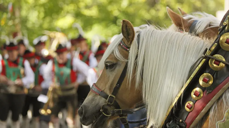 Meraner Traubenfest